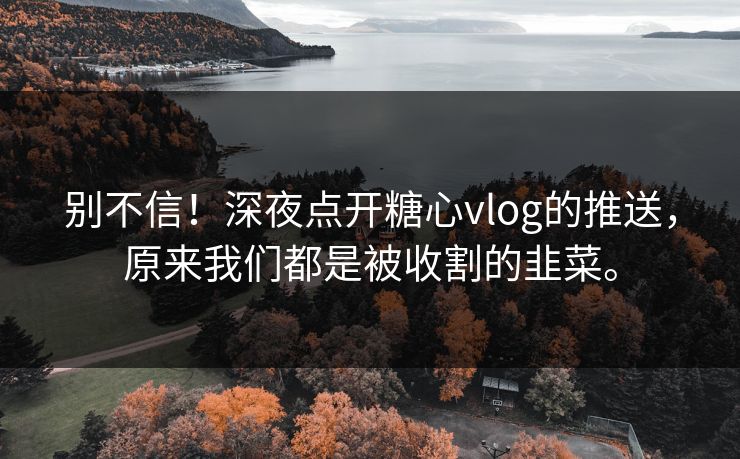 别不信！深夜点开糖心vlog的推送，原来我们都是被收割的韭菜。